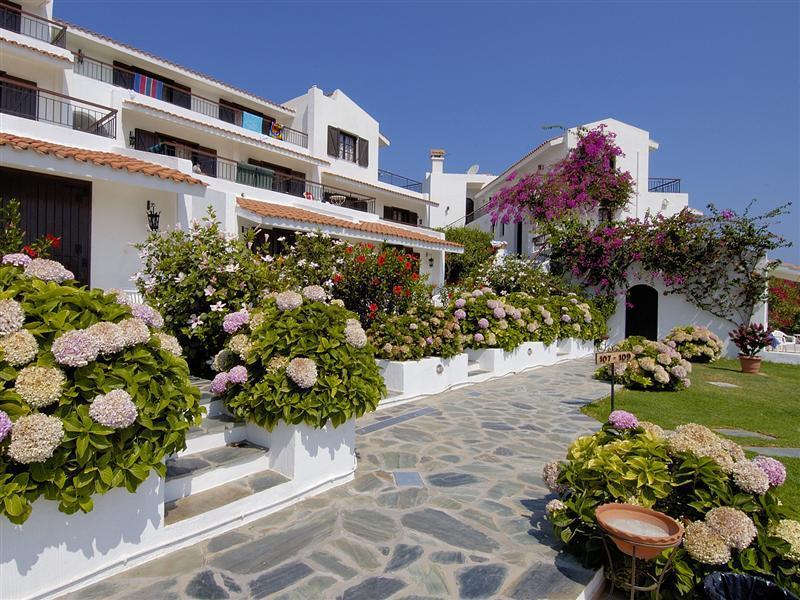 Bella Vista Village Agia Marina  Exterior photo